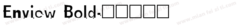 Enview Bold字体转换